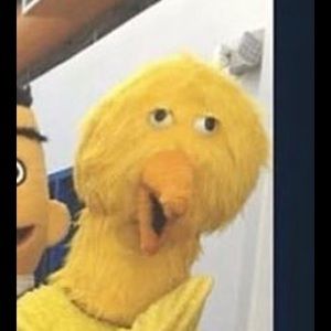 Meet your Posher, Chase